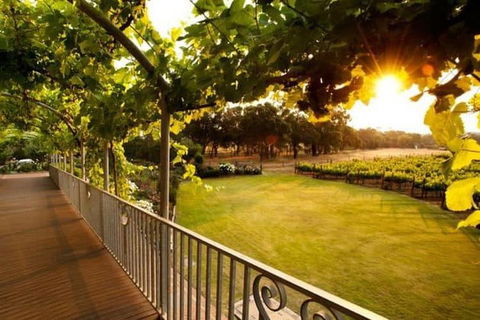 Busselton Jetty + Train Ride + Winery + Scenic Drive Full Day Tour - Darwin Holiday 1