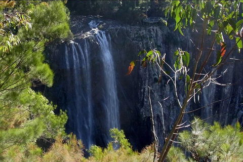 Byron Bay Hinterland Tour Including Rainforest Walk To Minyon Falls - Darwin Holiday 0