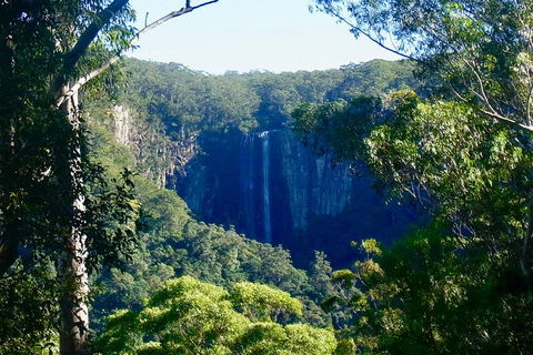 Byron Bay Hinterland Tour Including Rainforest Walk To Minyon Falls - Darwin Holiday 4