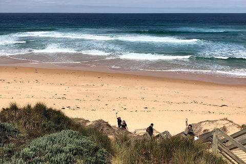 Phillip Island Penguins Private Tour - Darwin Holiday 4
