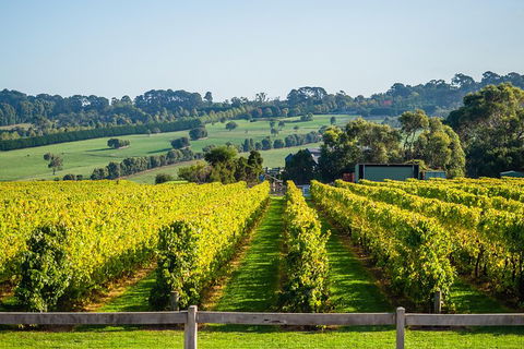 Private Tours From Melbourne - Darwin Holiday 1