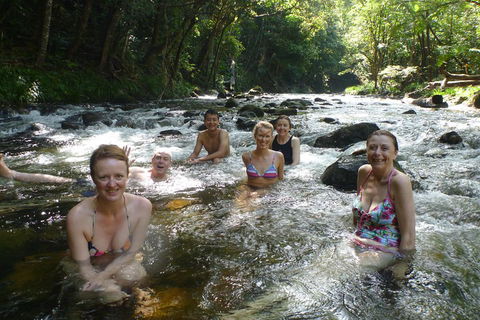Daintree Rainforest, Cape Tribulation, Mossman Gorge Small-Group Day Tour - Darwin Holiday 0