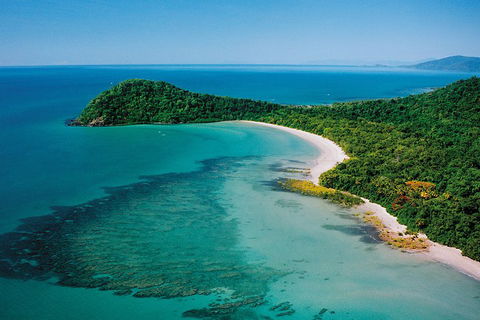 Daintree Rainforest, Cape Tribulation, Mossman Gorge Small-Group Day Tour - Darwin Holiday 4