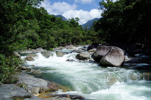 Daintree Rainforest, Cape Tribulation, Mossman Gorge Small-Group Day Tour - Darwin Holiday 5