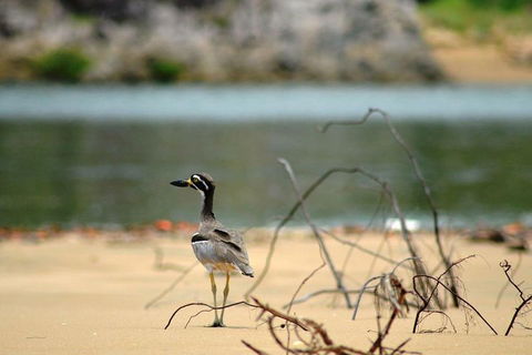 1770 Coastline Tour By LARC Amphibious Vehicle Including Picnic Lunch - Darwin Holiday 3