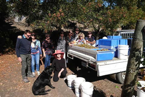 Valleys Of Vino Tour - Darwin Holiday 1