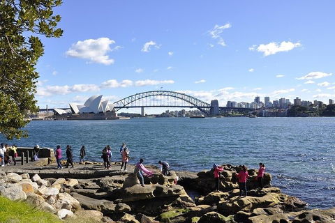 Sydney Sightseeing Bus Tours - Darwin Holiday 2