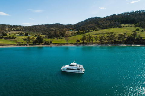 Deep-to-Dish: Tasmanian Seafood Experience - Darwin Holiday 0