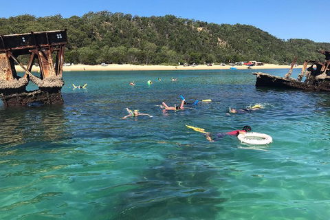 All Inclusive Dolphin And Tangalooma Wrecks Cruise - Darwin Holiday 0