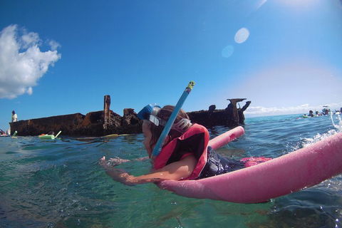 All Inclusive Dolphin And Tangalooma Wrecks Cruise - Darwin Holiday 2