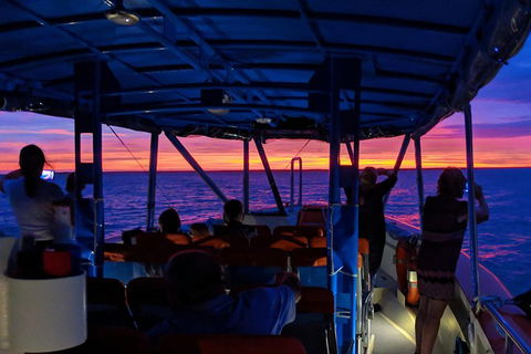 Darwin Sunset Cruise Including Fish 'n' Chips - Darwin Holiday 1