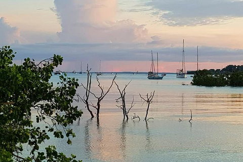 Tropical Light Sundowner Cruise With Drinks Included - Darwin Holiday 2