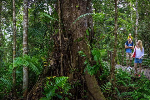 Kuranda Day Tour + HotAir Balloon Combo - Darwin Holiday 3