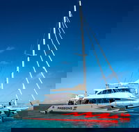 Passions of Paradise Great Barrier Reef Snorkel and Dive Cruise from Cairns by Luxury Catamaran - Darwin Holiday