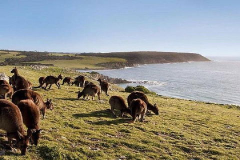 Kangaroo Island Personal Group Tours - Darwin Holiday 0