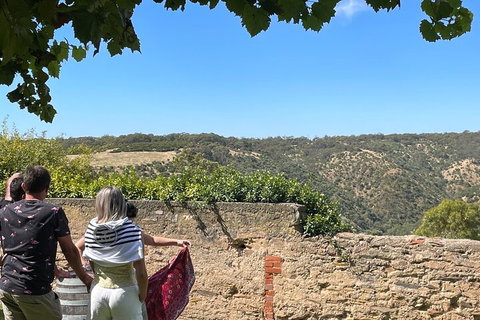 Private Mclaren Vale Wine Tour - Darwin Holiday 2