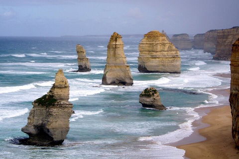 LGBT+ Friendly 2 Day Private Tour Great Ocean Road + Phillip Island - Darwin Holiday 0