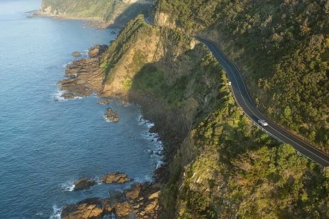 LGBT+ Friendly 2 Day Private Tour Great Ocean Road + Phillip Island - Darwin Holiday 4