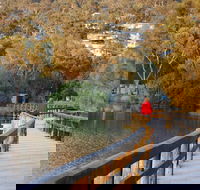 LGBT Friendly 3 Day Private Tour Great Ocean Road  Phillip Island - Darwin Holiday