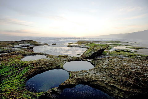 LGBT+ Friendly 3 Day Private Tour Great Ocean Road & Phillip Island - Darwin Holiday 5