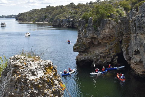 Cliffs And Caves Kayak Tour In Swan River - Darwin Holiday 5