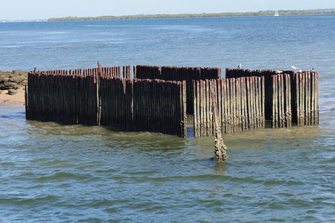 Best Of Moreton Bay Cruise - Darwin Holiday 1