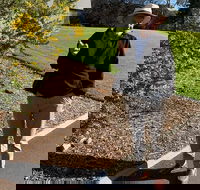 Private City Walking Tour - Darwin Holiday