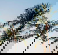 Darwin City Sightseeing Tour