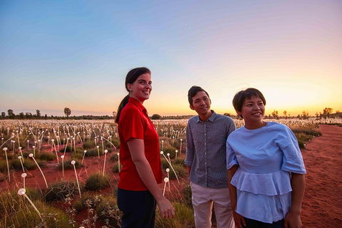Uluru (Ayers Rock) Field Of Light Sunrise Tour - Darwin Holiday 2