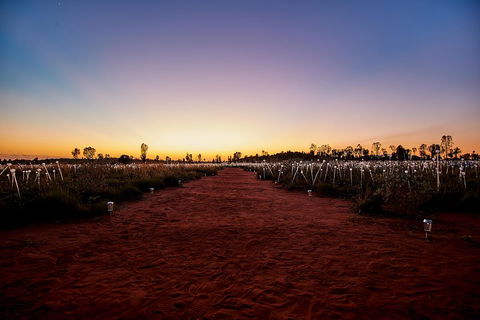 Uluru (Ayers Rock) Field Of Light Sunrise Tour - Darwin Holiday 3