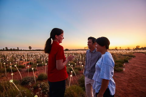 Uluru (Ayers Rock) Field Of Light Sunrise Tour - Darwin Holiday 5
