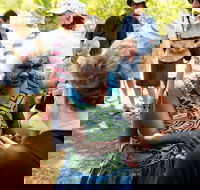 Tiwi Islands Cultural Experience from Darwin Including Ferry