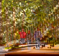 Darwin City Sights and Jumping Crocodile Cruise