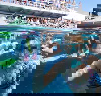 Great Barrier Reef Day Cruise from Cairns Including Snorkeling and Marine Biologist Presentation - Darwin Holiday