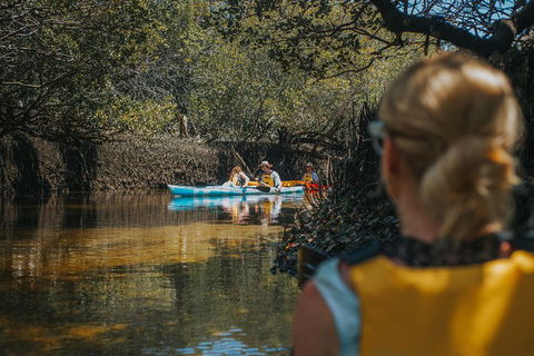 Kayak Tour In Adelaide Dolphin Sanctuary - Darwin Holiday 0