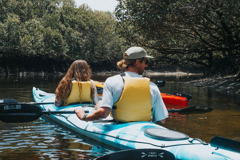 Kayak Tour In Adelaide Dolphin Sanctuary - Darwin Holiday 2