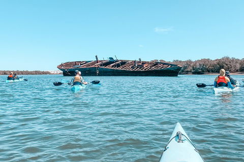 Kayak Tour In Adelaide Dolphin Sanctuary - Darwin Holiday 3
