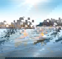 Brisbane Kayak Tour - Darwin Holiday