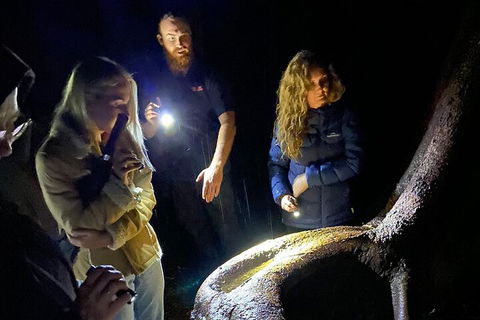 Evening Rainforest & Glow Worm Experience - Darwin Holiday 2