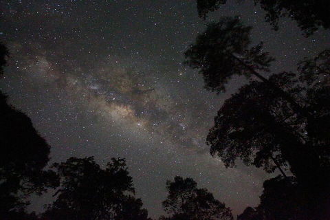 Evening Rainforest & Glow Worm Experience - Darwin Holiday 4