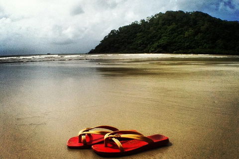 Daintree And Cape Tribulation Full Day Guided Tour - Darwin Holiday 4
