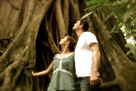 Daintree And Cape Tribulation Full Day Guided Tour - Darwin Holiday 5
