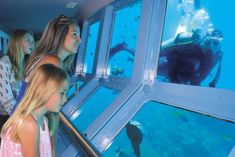 Quicksilver Outer Great Barrier Reef Snorkel Cruise From Port Douglas - Darwin Holiday 1