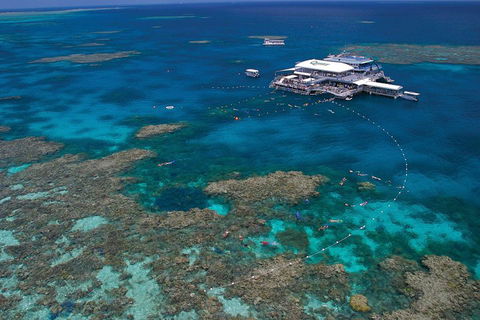 Quicksilver Outer Great Barrier Reef Snorkel Cruise From Port Douglas - Darwin Holiday 3