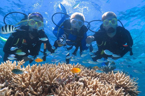 Quicksilver Outer Great Barrier Reef Snorkel Cruise From Port Douglas - Darwin Holiday 4