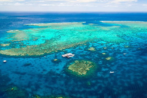 Quicksilver Outer Great Barrier Reef Snorkel Cruise From Port Douglas - Darwin Holiday 5