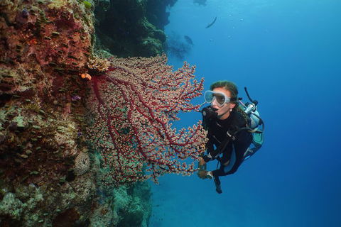 Silversonic Outer Great Barrier Reef Dive And Snorkel Cruise From Port Douglas - Darwin Holiday 0