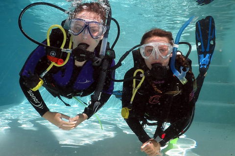 Quicksilver Dive 4 Day PADI Learn To Dive Course - Darwin Holiday 2
