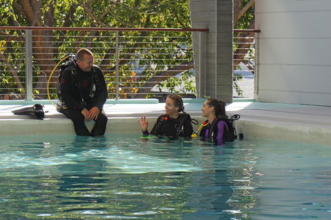 Quicksilver Dive 4 Day PADI Learn To Dive Course - Darwin Holiday 3