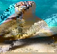 Sail Snorkel SUP  Kayak Charter Whitsundays